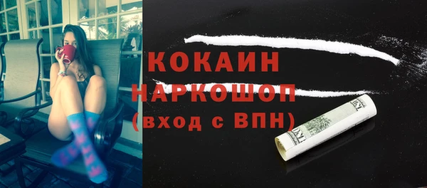 соль ск Алексин