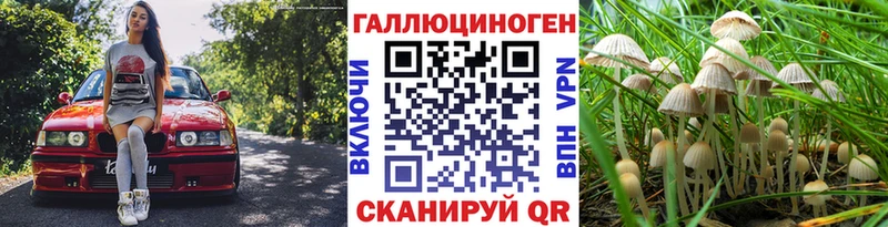 где можно купить   Пролетарск  Галлюциногенные грибы ЛСД 